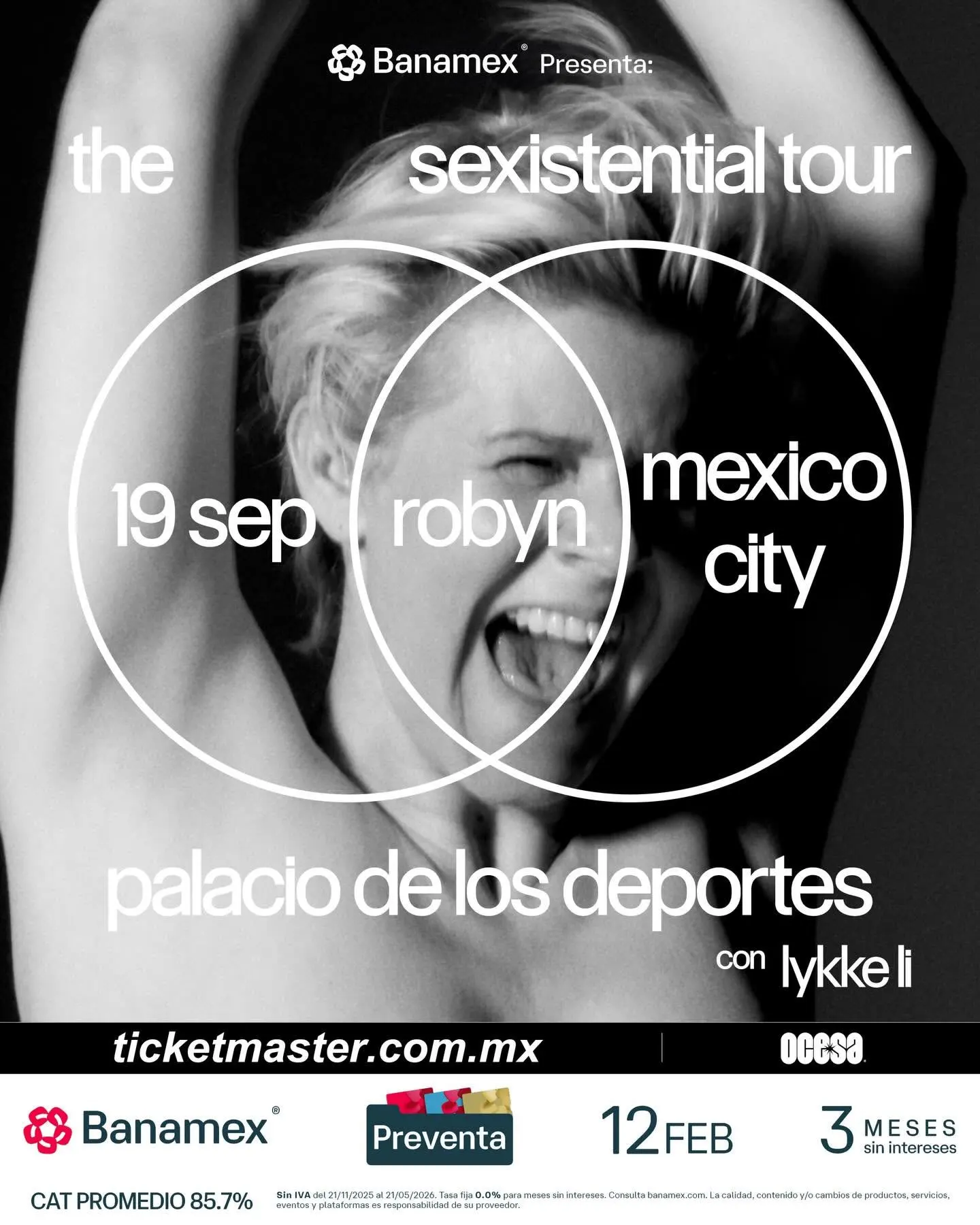Robyn en el Palacio de los Deportes